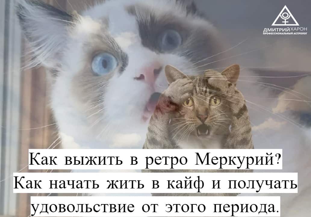 Как выжить в ретроградный Меркурий. Что делать можно и нельзя. Самая подробная информация о периоде. Что делать и нельзя